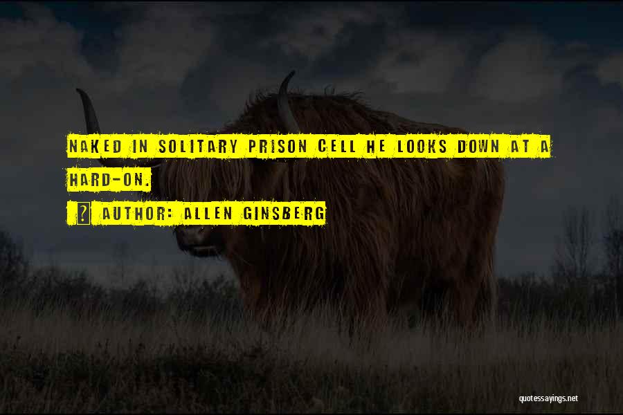 Allen Ginsberg Quotes: Naked In Solitary Prison Cell He Looks Down At A Hard-on.