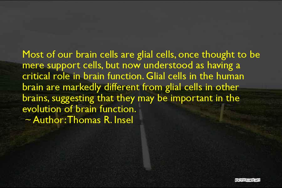 Thomas R. Insel Quotes: Most Of Our Brain Cells Are Glial Cells, Once Thought To Be Mere Support Cells, But Now Understood As Having