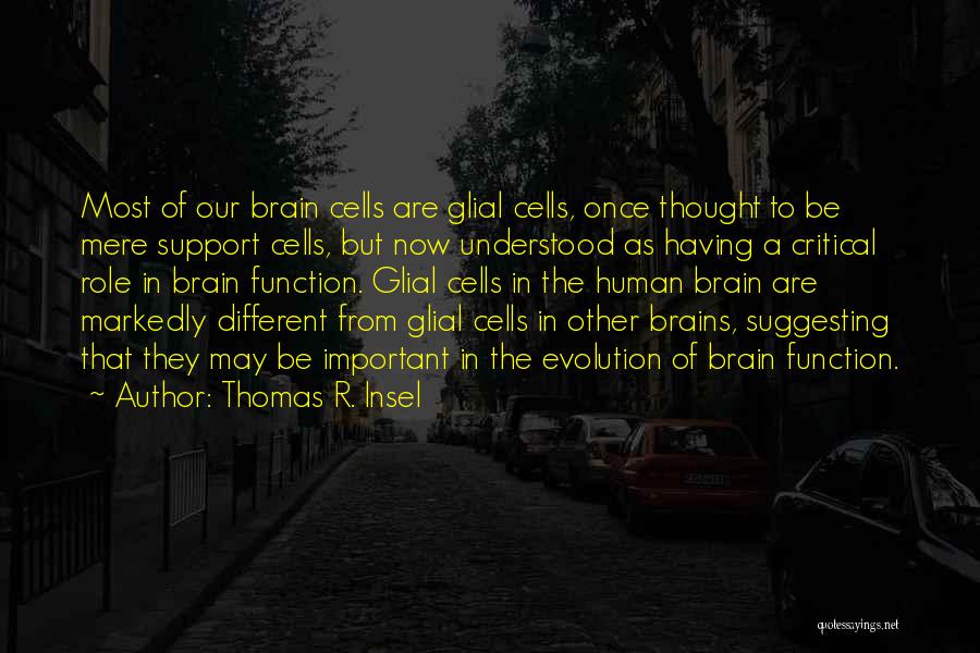 Thomas R. Insel Quotes: Most Of Our Brain Cells Are Glial Cells, Once Thought To Be Mere Support Cells, But Now Understood As Having