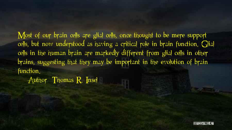 Thomas R. Insel Quotes: Most Of Our Brain Cells Are Glial Cells, Once Thought To Be Mere Support Cells, But Now Understood As Having