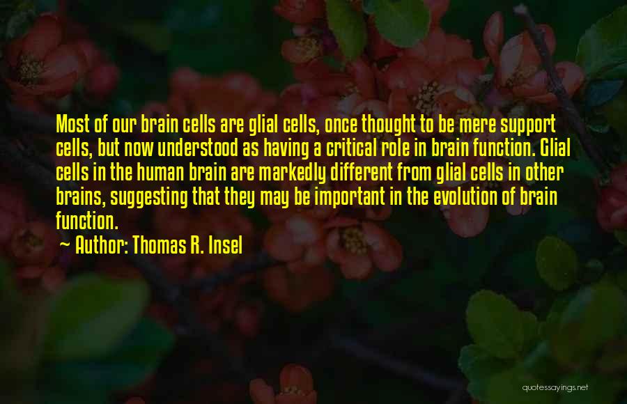 Thomas R. Insel Quotes: Most Of Our Brain Cells Are Glial Cells, Once Thought To Be Mere Support Cells, But Now Understood As Having