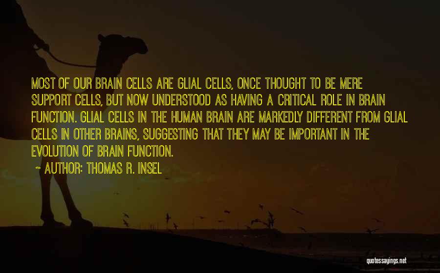 Thomas R. Insel Quotes: Most Of Our Brain Cells Are Glial Cells, Once Thought To Be Mere Support Cells, But Now Understood As Having