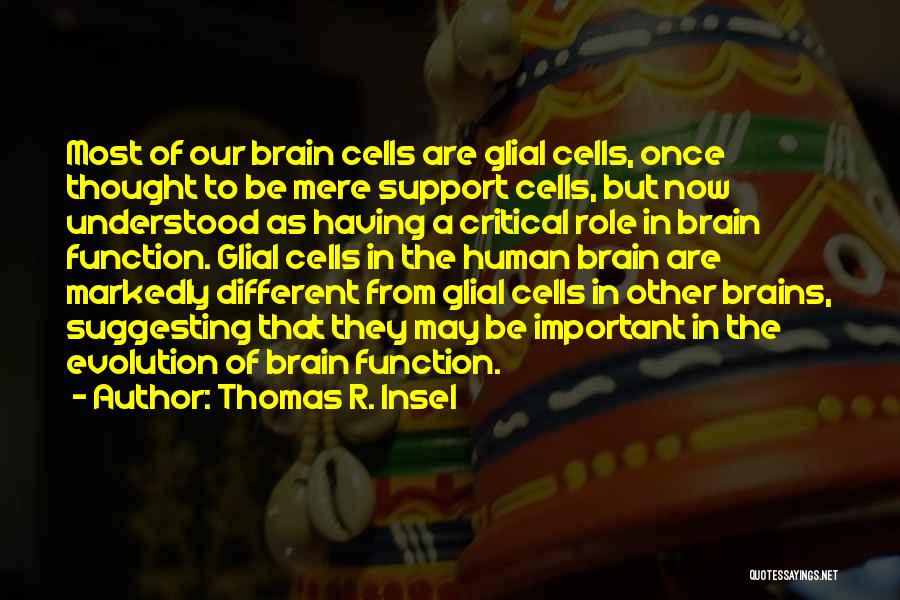 Thomas R. Insel Quotes: Most Of Our Brain Cells Are Glial Cells, Once Thought To Be Mere Support Cells, But Now Understood As Having