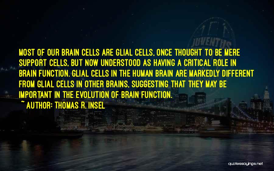 Thomas R. Insel Quotes: Most Of Our Brain Cells Are Glial Cells, Once Thought To Be Mere Support Cells, But Now Understood As Having