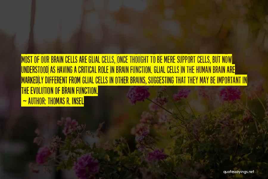 Thomas R. Insel Quotes: Most Of Our Brain Cells Are Glial Cells, Once Thought To Be Mere Support Cells, But Now Understood As Having