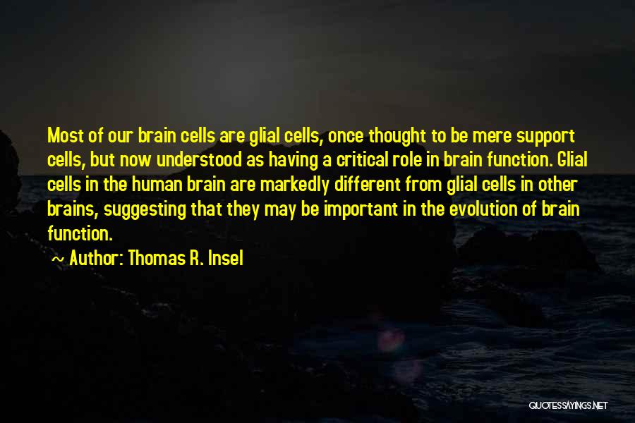 Thomas R. Insel Quotes: Most Of Our Brain Cells Are Glial Cells, Once Thought To Be Mere Support Cells, But Now Understood As Having