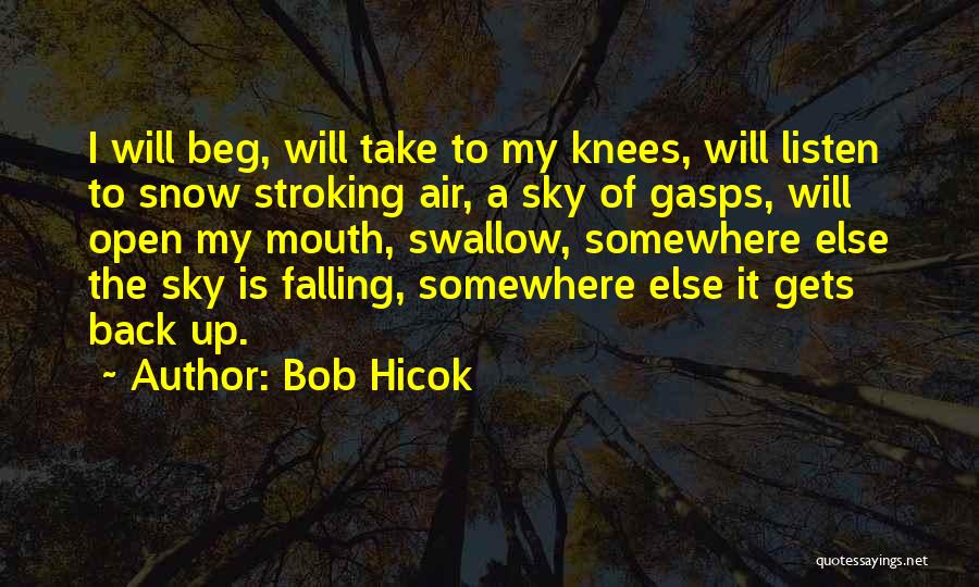 Bob Hicok Quotes: I Will Beg, Will Take To My Knees, Will Listen To Snow Stroking Air, A Sky Of Gasps, Will Open
