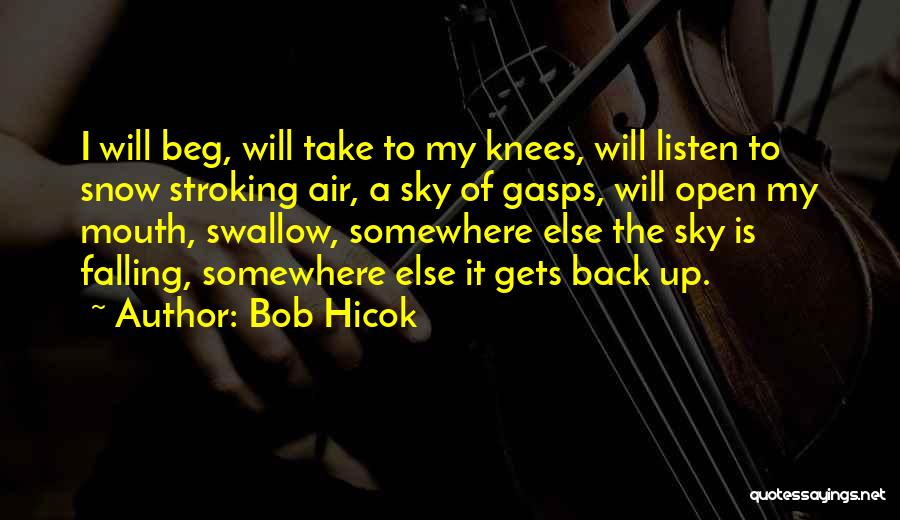 Bob Hicok Quotes: I Will Beg, Will Take To My Knees, Will Listen To Snow Stroking Air, A Sky Of Gasps, Will Open