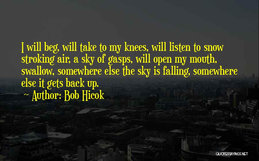 Bob Hicok Quotes: I Will Beg, Will Take To My Knees, Will Listen To Snow Stroking Air, A Sky Of Gasps, Will Open