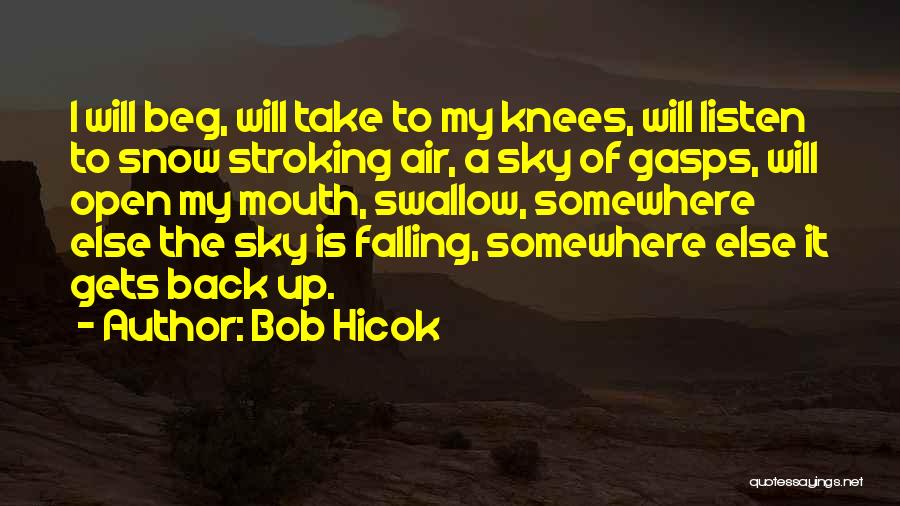 Bob Hicok Quotes: I Will Beg, Will Take To My Knees, Will Listen To Snow Stroking Air, A Sky Of Gasps, Will Open