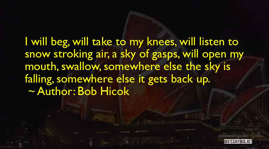 Bob Hicok Quotes: I Will Beg, Will Take To My Knees, Will Listen To Snow Stroking Air, A Sky Of Gasps, Will Open