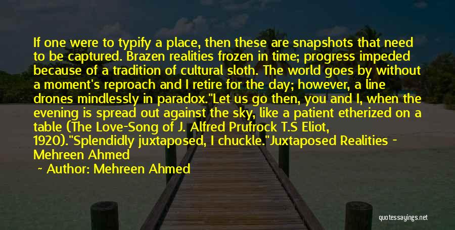 Mehreen Ahmed Quotes: If One Were To Typify A Place, Then These Are Snapshots That Need To Be Captured. Brazen Realities Frozen In