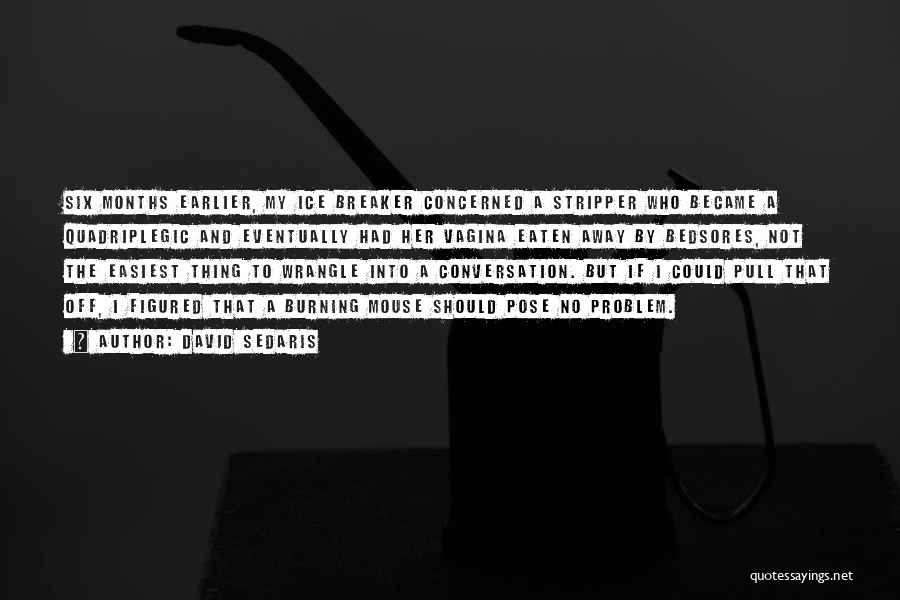 David Sedaris Quotes: Six Months Earlier, My Ice Breaker Concerned A Stripper Who Became A Quadriplegic And Eventually Had Her Vagina Eaten Away