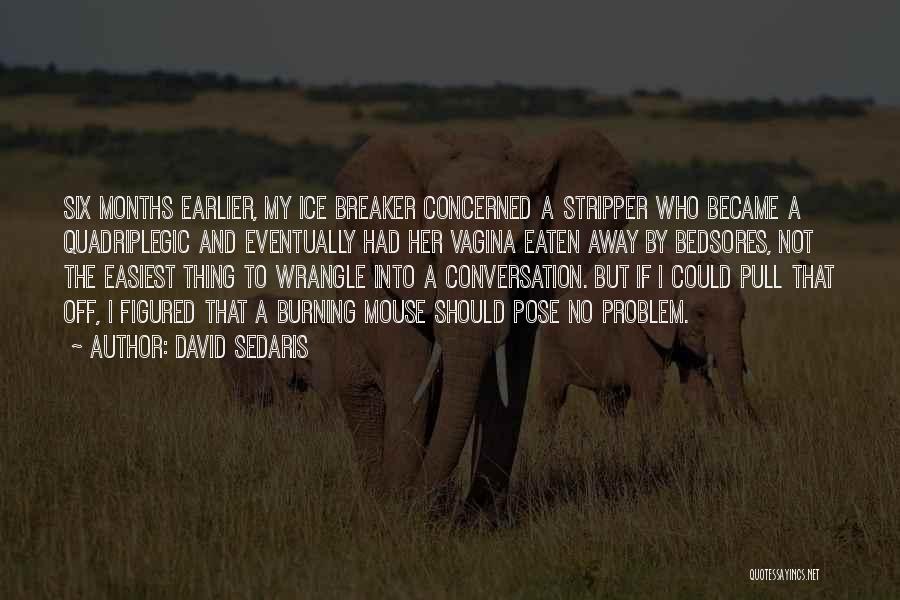 David Sedaris Quotes: Six Months Earlier, My Ice Breaker Concerned A Stripper Who Became A Quadriplegic And Eventually Had Her Vagina Eaten Away