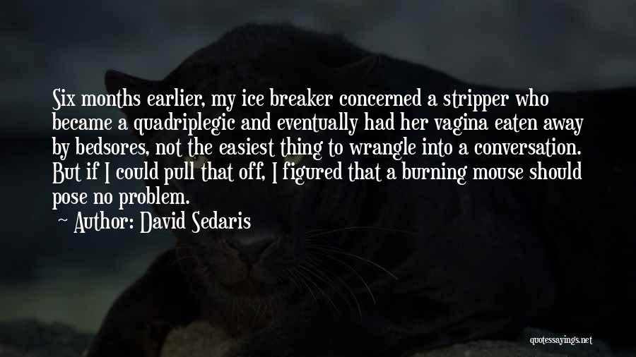 David Sedaris Quotes: Six Months Earlier, My Ice Breaker Concerned A Stripper Who Became A Quadriplegic And Eventually Had Her Vagina Eaten Away