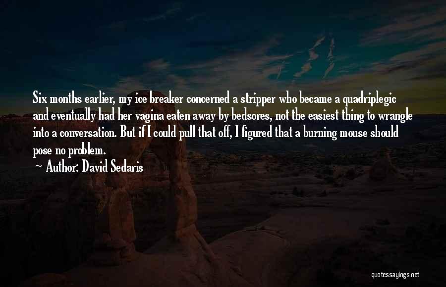 David Sedaris Quotes: Six Months Earlier, My Ice Breaker Concerned A Stripper Who Became A Quadriplegic And Eventually Had Her Vagina Eaten Away