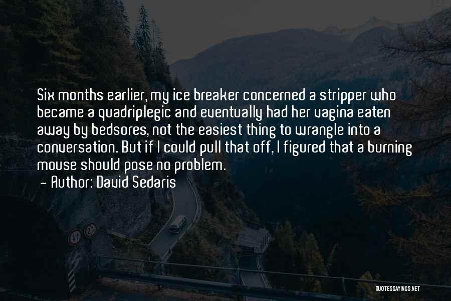 David Sedaris Quotes: Six Months Earlier, My Ice Breaker Concerned A Stripper Who Became A Quadriplegic And Eventually Had Her Vagina Eaten Away