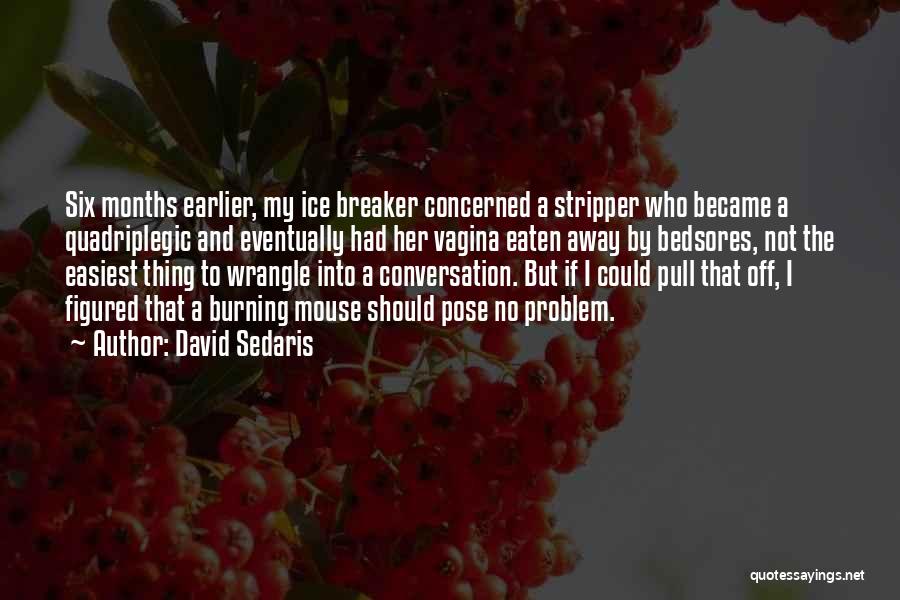 David Sedaris Quotes: Six Months Earlier, My Ice Breaker Concerned A Stripper Who Became A Quadriplegic And Eventually Had Her Vagina Eaten Away