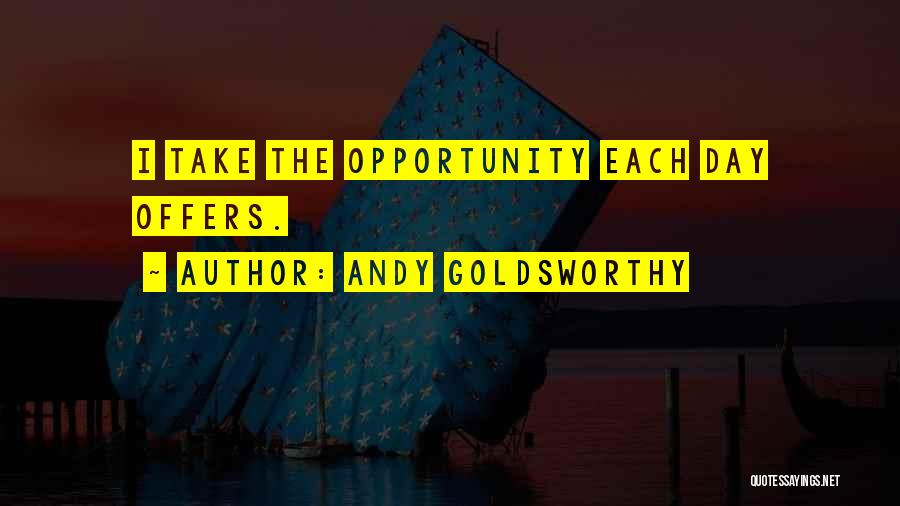 Andy Goldsworthy Quotes: I Take The Opportunity Each Day Offers.
