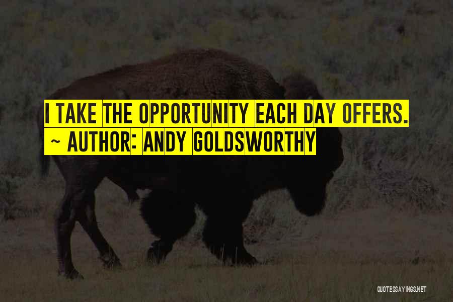 Andy Goldsworthy Quotes: I Take The Opportunity Each Day Offers.