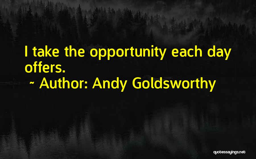 Andy Goldsworthy Quotes: I Take The Opportunity Each Day Offers.