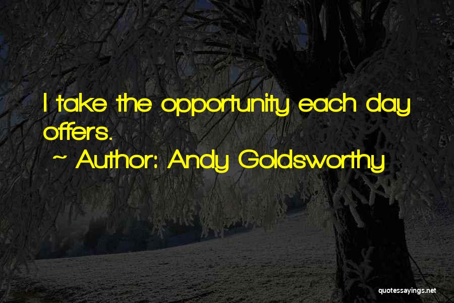 Andy Goldsworthy Quotes: I Take The Opportunity Each Day Offers.