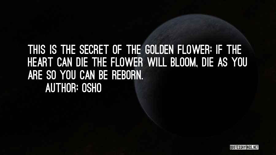 Osho Quotes: This Is The Secret Of The Golden Flower: If The Heart Can Die The Flower Will Bloom, Die As You