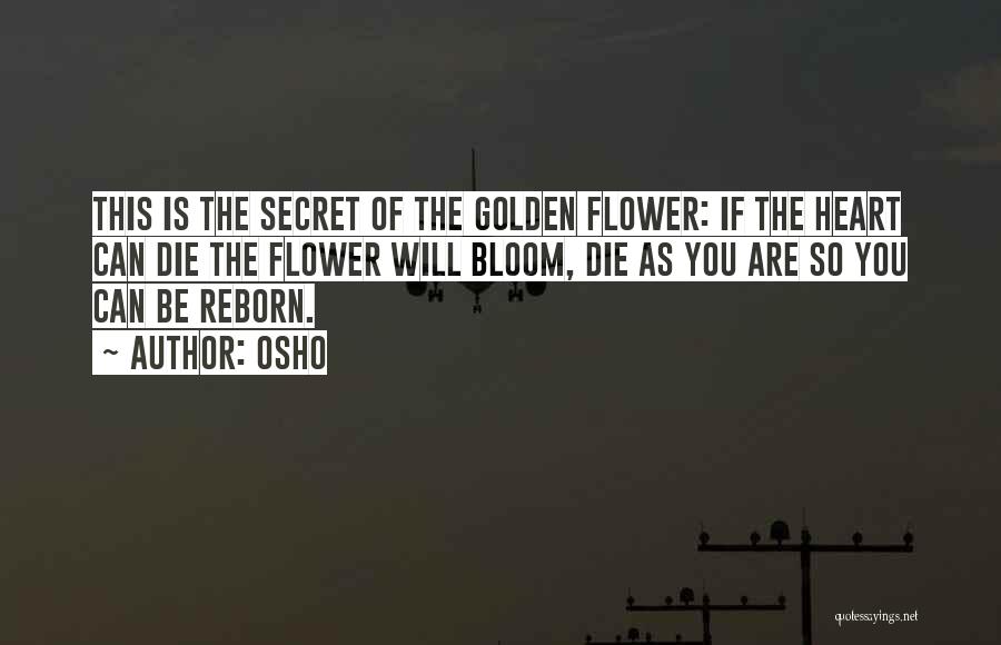 Osho Quotes: This Is The Secret Of The Golden Flower: If The Heart Can Die The Flower Will Bloom, Die As You