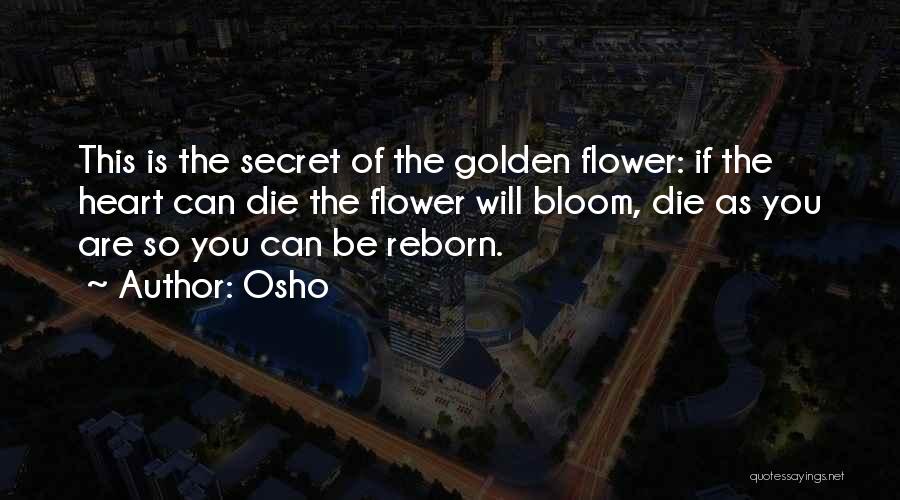 Osho Quotes: This Is The Secret Of The Golden Flower: If The Heart Can Die The Flower Will Bloom, Die As You