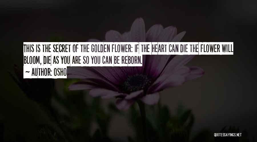 Osho Quotes: This Is The Secret Of The Golden Flower: If The Heart Can Die The Flower Will Bloom, Die As You