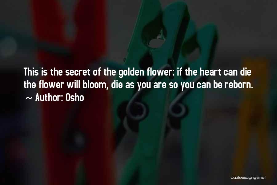 Osho Quotes: This Is The Secret Of The Golden Flower: If The Heart Can Die The Flower Will Bloom, Die As You