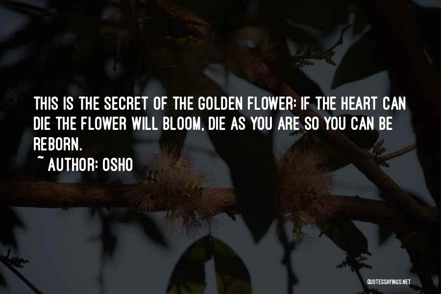 Osho Quotes: This Is The Secret Of The Golden Flower: If The Heart Can Die The Flower Will Bloom, Die As You