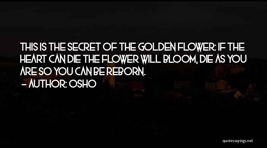 Osho Quotes: This Is The Secret Of The Golden Flower: If The Heart Can Die The Flower Will Bloom, Die As You