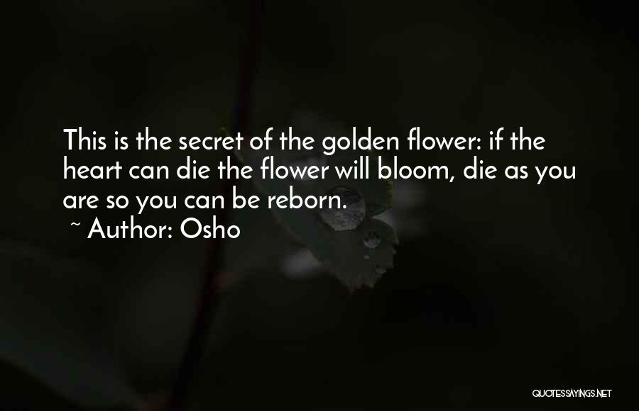 Osho Quotes: This Is The Secret Of The Golden Flower: If The Heart Can Die The Flower Will Bloom, Die As You