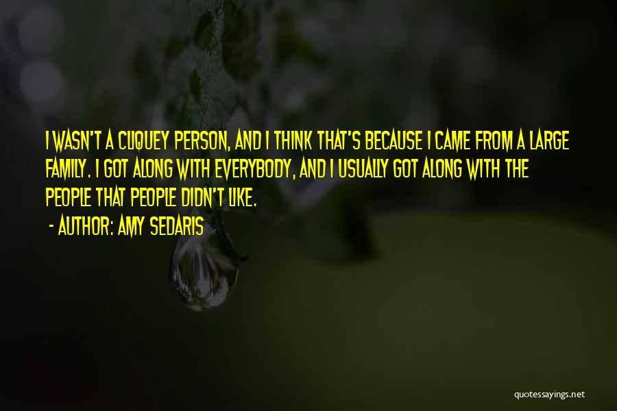 Amy Sedaris Quotes: I Wasn't A Cliquey Person, And I Think That's Because I Came From A Large Family. I Got Along With