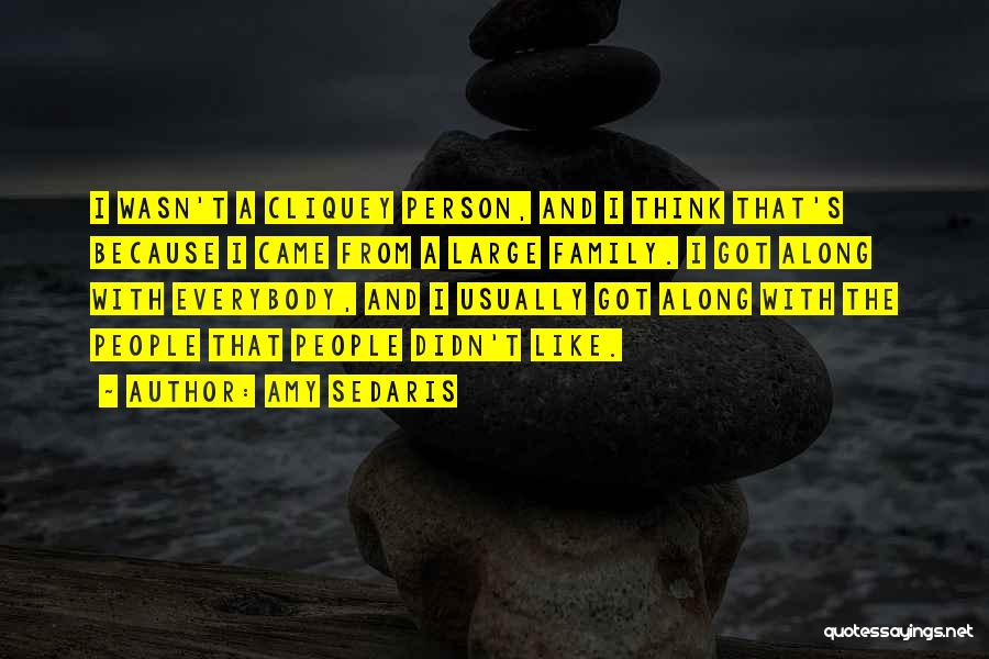 Amy Sedaris Quotes: I Wasn't A Cliquey Person, And I Think That's Because I Came From A Large Family. I Got Along With