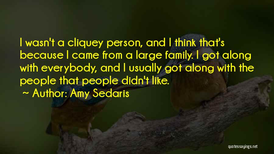 Amy Sedaris Quotes: I Wasn't A Cliquey Person, And I Think That's Because I Came From A Large Family. I Got Along With