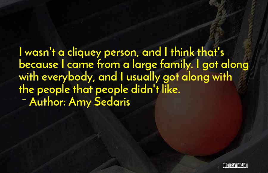 Amy Sedaris Quotes: I Wasn't A Cliquey Person, And I Think That's Because I Came From A Large Family. I Got Along With