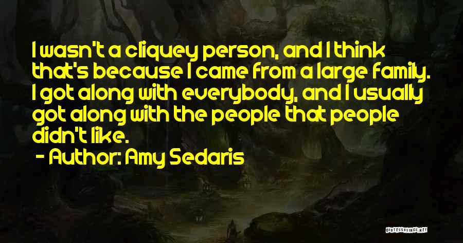 Amy Sedaris Quotes: I Wasn't A Cliquey Person, And I Think That's Because I Came From A Large Family. I Got Along With