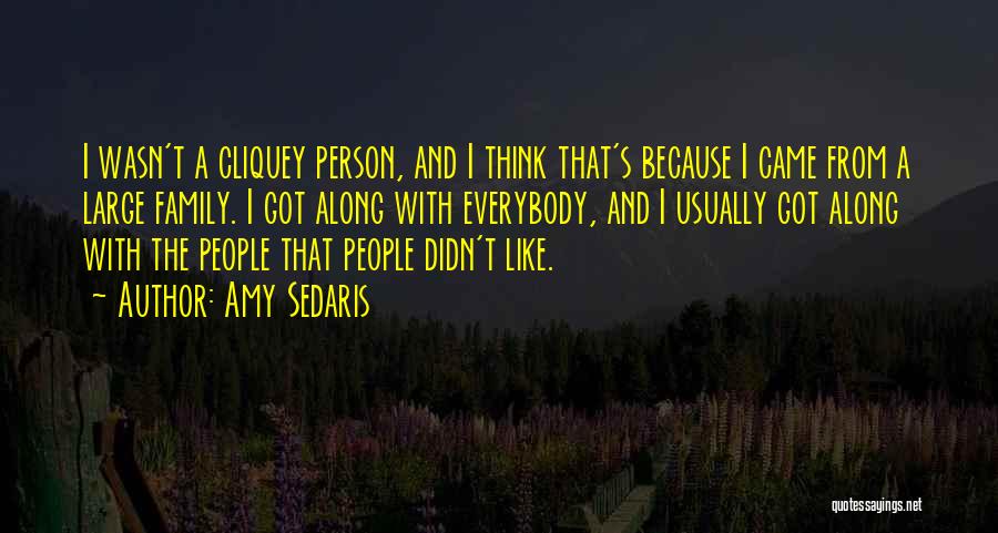 Amy Sedaris Quotes: I Wasn't A Cliquey Person, And I Think That's Because I Came From A Large Family. I Got Along With