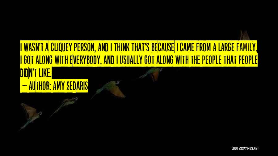 Amy Sedaris Quotes: I Wasn't A Cliquey Person, And I Think That's Because I Came From A Large Family. I Got Along With