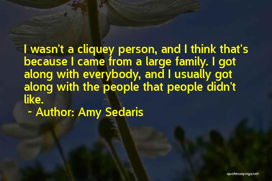 Amy Sedaris Quotes: I Wasn't A Cliquey Person, And I Think That's Because I Came From A Large Family. I Got Along With