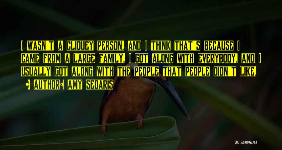 Amy Sedaris Quotes: I Wasn't A Cliquey Person, And I Think That's Because I Came From A Large Family. I Got Along With