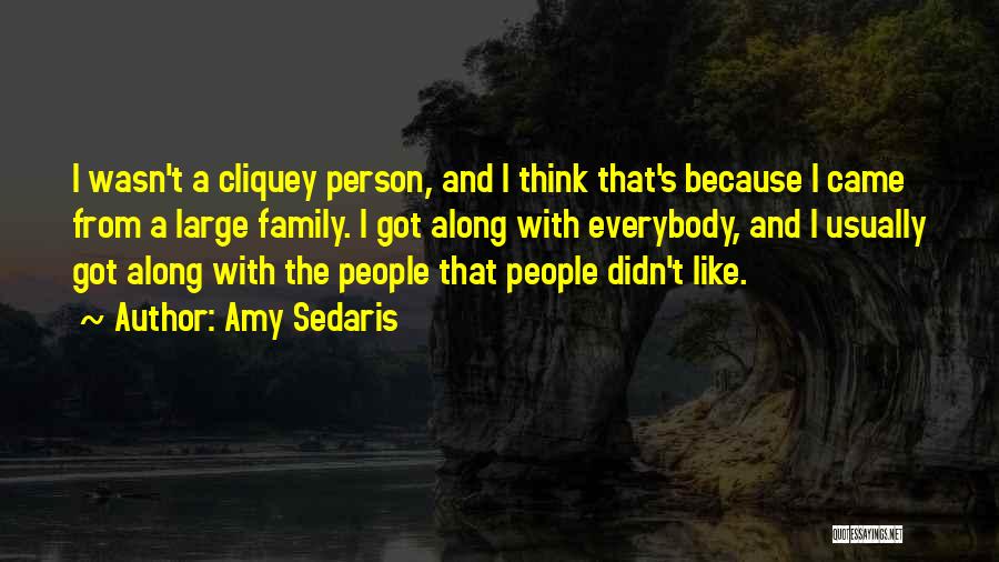 Amy Sedaris Quotes: I Wasn't A Cliquey Person, And I Think That's Because I Came From A Large Family. I Got Along With