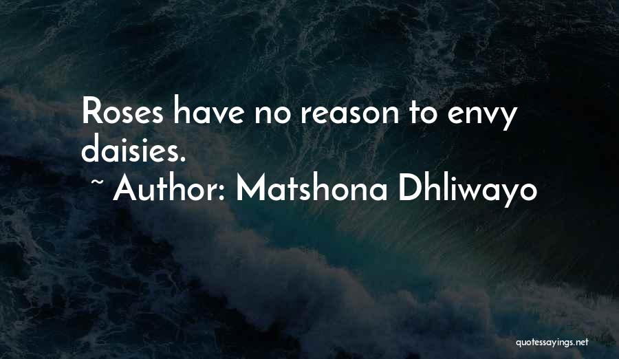 Matshona Dhliwayo Quotes: Roses Have No Reason To Envy Daisies.