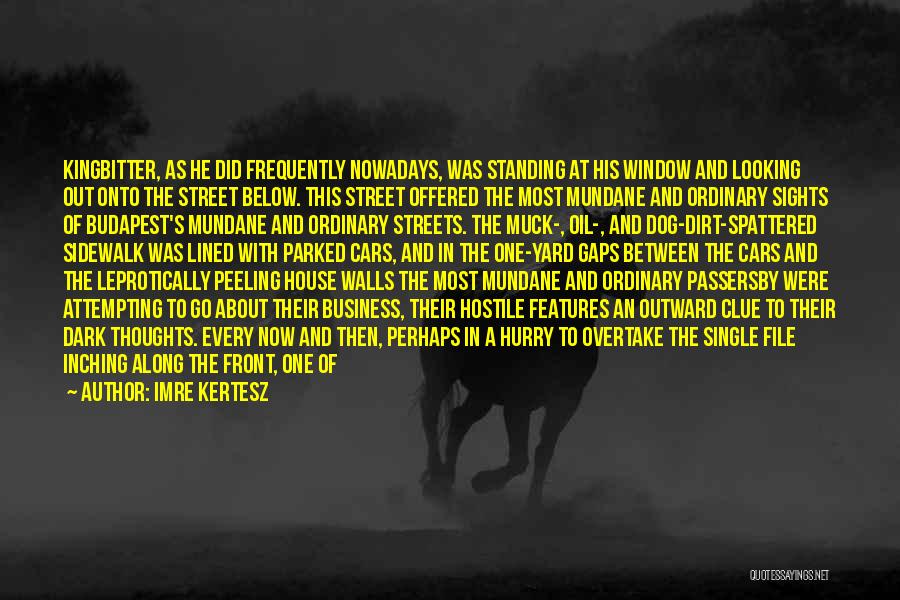 Imre Kertesz Quotes: Kingbitter, As He Did Frequently Nowadays, Was Standing At His Window And Looking Out Onto The Street Below. This Street