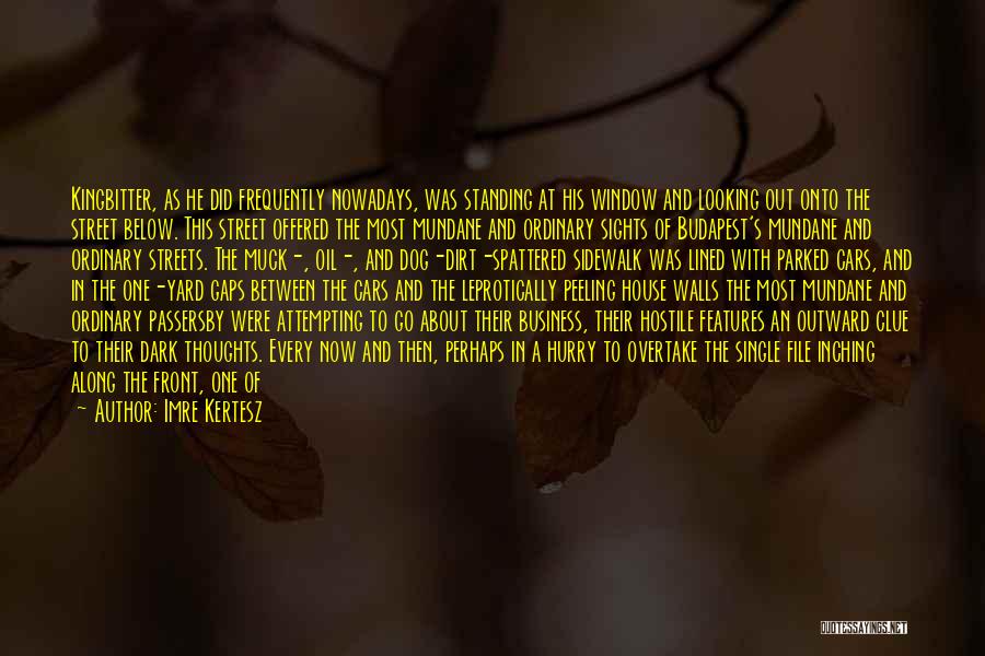 Imre Kertesz Quotes: Kingbitter, As He Did Frequently Nowadays, Was Standing At His Window And Looking Out Onto The Street Below. This Street