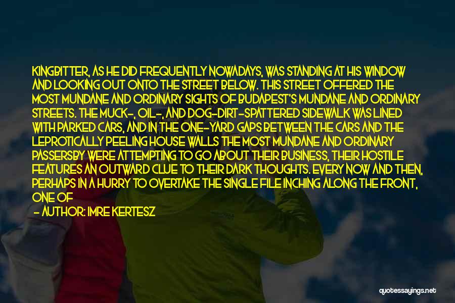 Imre Kertesz Quotes: Kingbitter, As He Did Frequently Nowadays, Was Standing At His Window And Looking Out Onto The Street Below. This Street