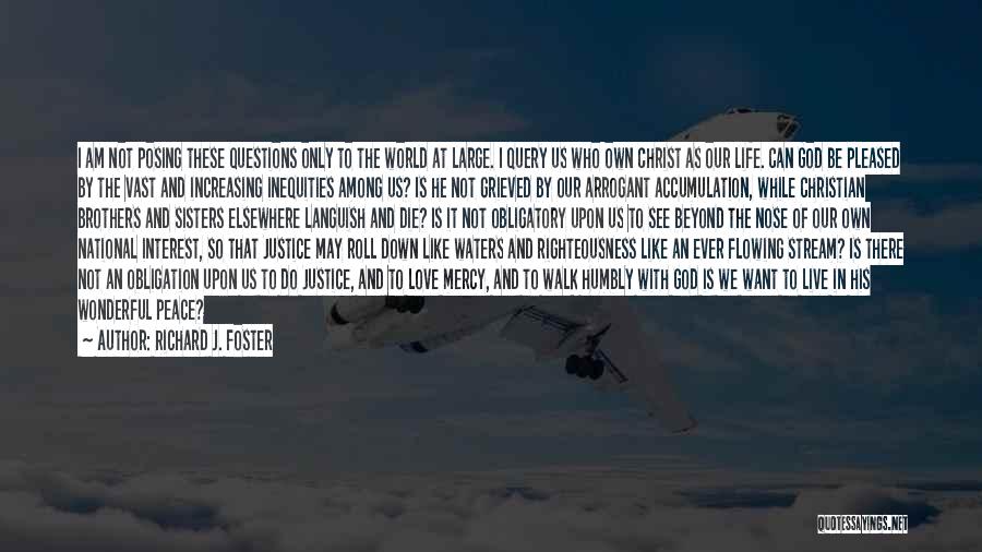 Richard J. Foster Quotes: I Am Not Posing These Questions Only To The World At Large. I Query Us Who Own Christ As Our