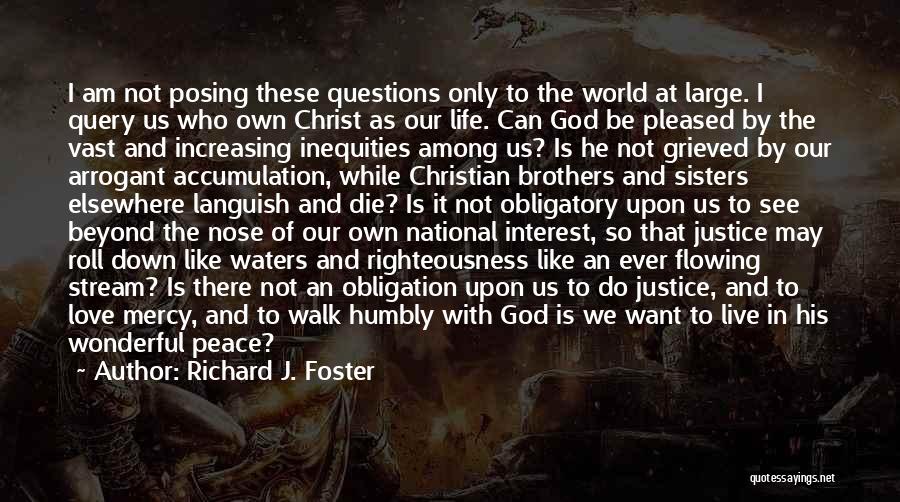 Richard J. Foster Quotes: I Am Not Posing These Questions Only To The World At Large. I Query Us Who Own Christ As Our